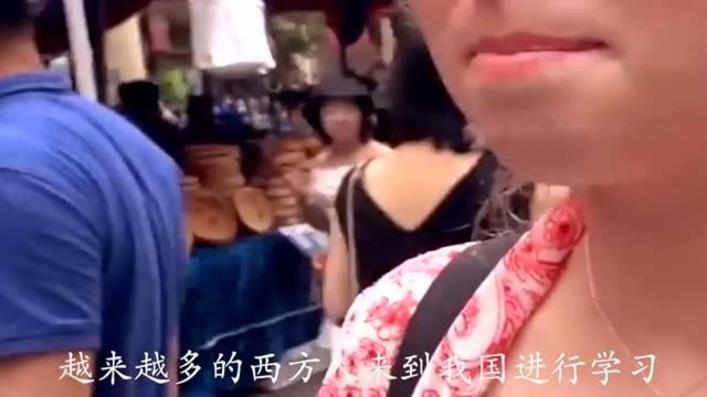 德国学者:中国就是另外一个世界,急速发展却不被西方同化