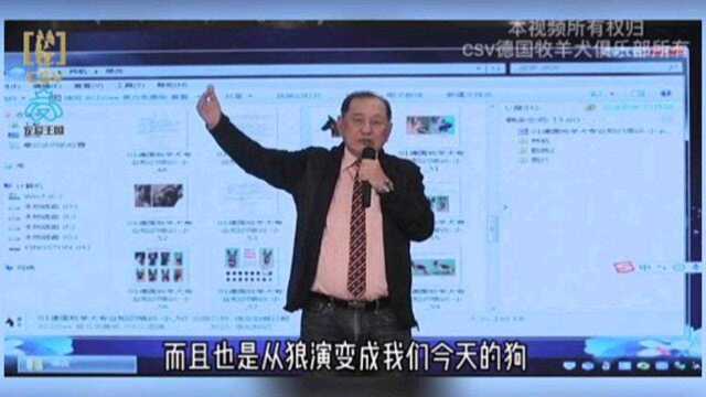 林阳宪老师谈德牧的眼色素问题