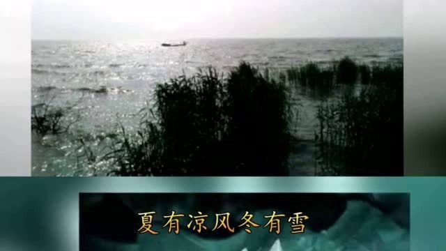 经典禅意歌曲《禅韵》,净化心灵,好听醉了,送给有缘人