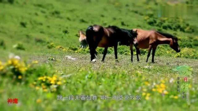 丹霞画廊天井峡,战国秦长城遗址,风情雪源石门雪山