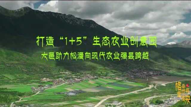 “格桑花开幸福来”——大邑助力松潘向现代农业强县跨越