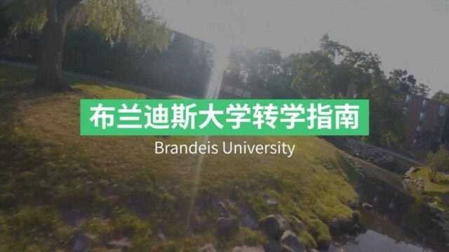 布兰迪斯大学 Brandeis 转学申请攻略!