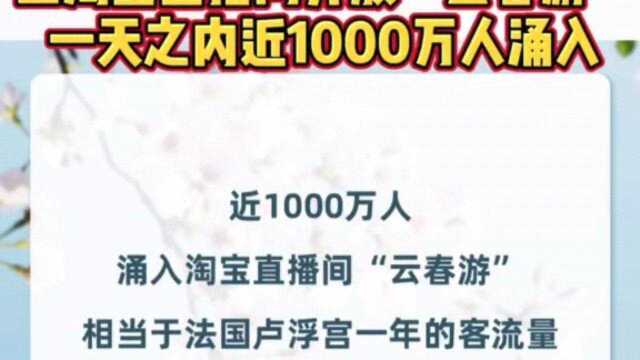 全国大博物馆集体上淘宝直播间开放云春游一天之内近万人涌入