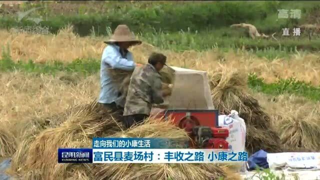 走向我们的小康生活 富民县麦场村:丰收之路 小康之路