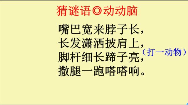 猜谜语:嘴巴宽来脖子长,长发潇洒披肩上,脚杆细长蹄子亮