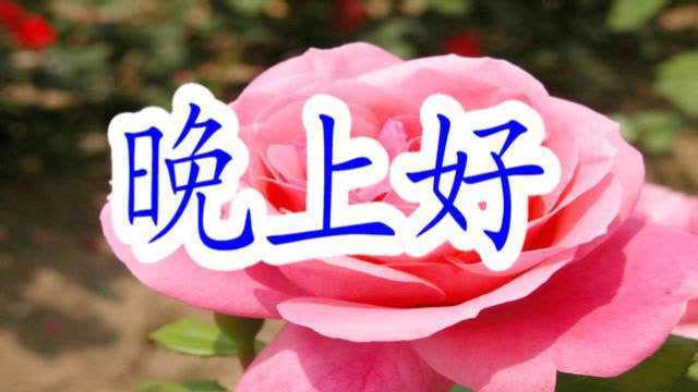 晚上好!一首减压神曲《啥事别往心里搁》送给你,超级好听!