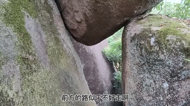 我带你们去爬山吧!体验一下登山的乐趣,看沙雕是怎么登山的