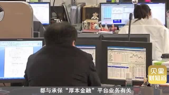 视频|让“贵宾”先跑? 中华财险信保的秘密