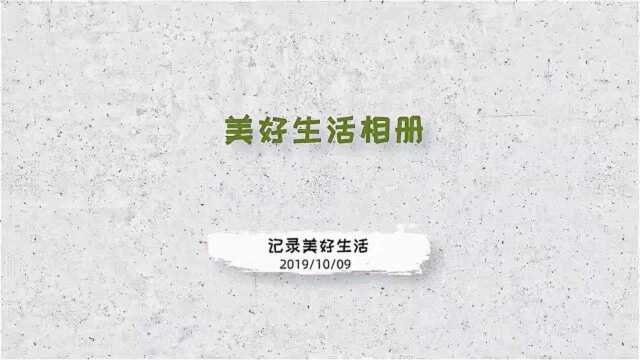 捷映生活视频模板:发现身边的精彩,记录生活的美好