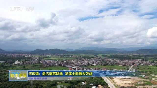 河东镇:盘活撂荒耕地 发挥土地最大效益