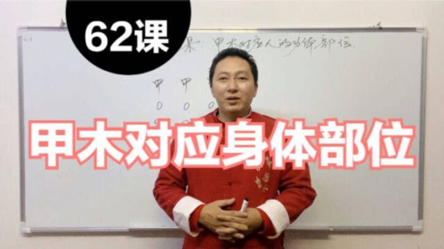 甲木在年柱、月柱、日柱、时柱所代表人的身体部位