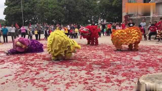 这个舞狮团不错吧,开张庆典都叫他