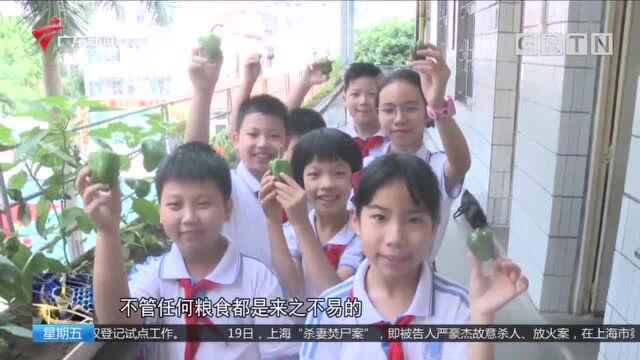 劳动的快乐!广东学生拍下“快乐劳动瞬间”