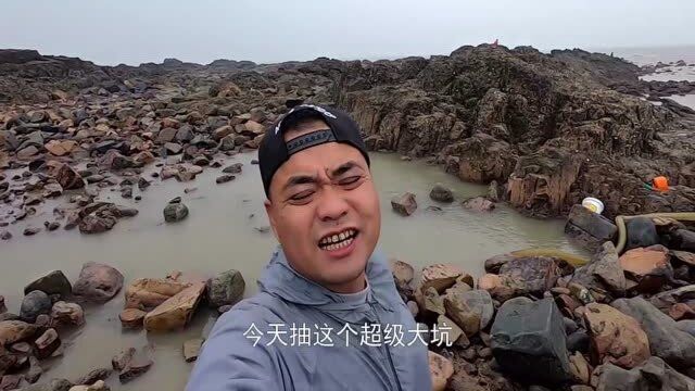 大风浪天赶海抽水坑,包公鱼长得太霸气,抓到一条就爆桶!