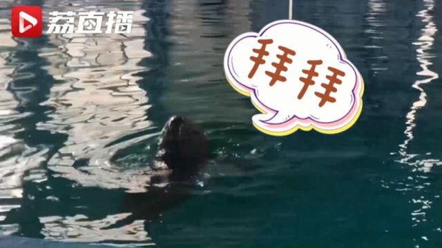 盘点南京江豚观测点