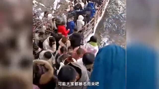 老君山景区雪后游客爆满:一天游客1万4,几乎达到最大承载!