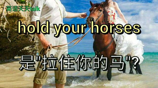 英文hold your horses意思是\