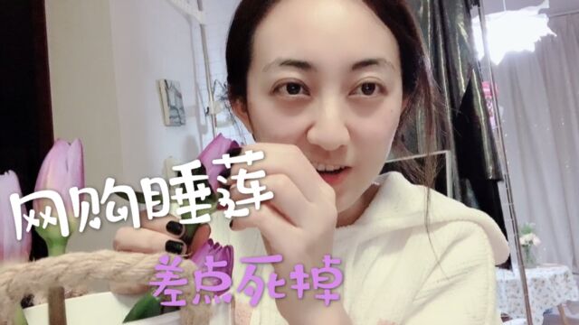 小姐姐首次网购睡莲,养一周不开花,直到发现这件事,笑自己无知