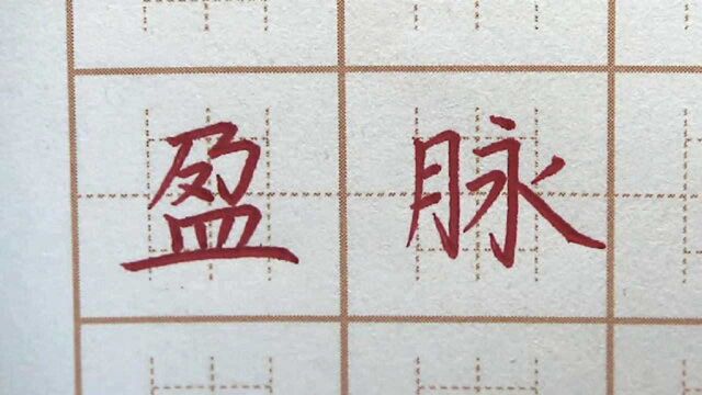 “盈”字很容易写错吗?脉栖鸦四字书写,六年级楷书练字书法写字