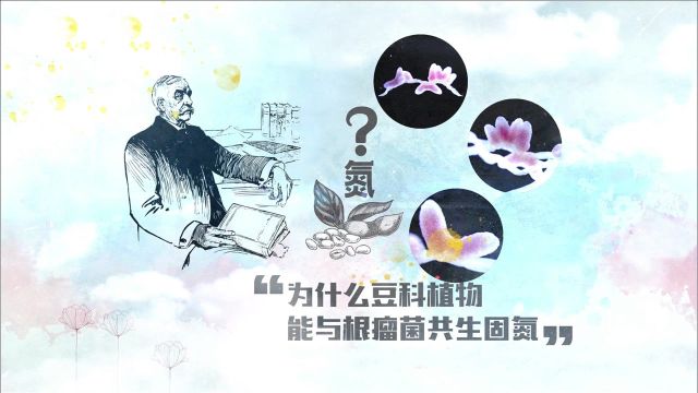 为什么豆科植物能与根瘤菌共生固氮?中国科学家取得重大发现