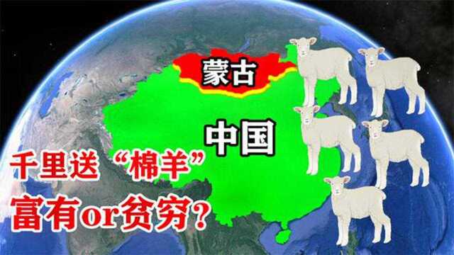 蒙古国跟中国有什么关系?为什么赠送中国三万只羊?