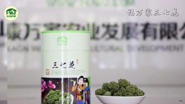 三七花什么样的好?哪里能买到三七花?云南文山三七花展示