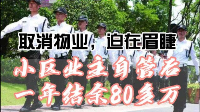 为何极力支持取消物业?小区业主自管后一年结余80多万,震惊吗