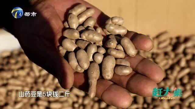 山药豆太可爱了,大爷卖5块钱2斤!益心安神健脾补虚!