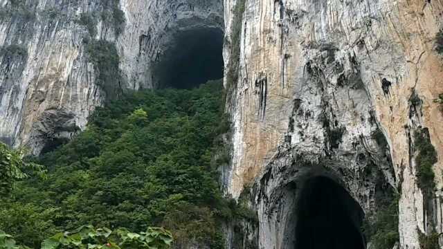 贵州丨格凸河景区特有景观,成千上万只燕子在洞口翻飞,你遇见了吗