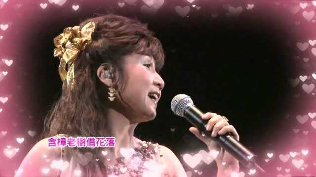 回顾张德兰经典粤语名曲《武侠帝女花》现场版,旋律优美动听,永恒的经典