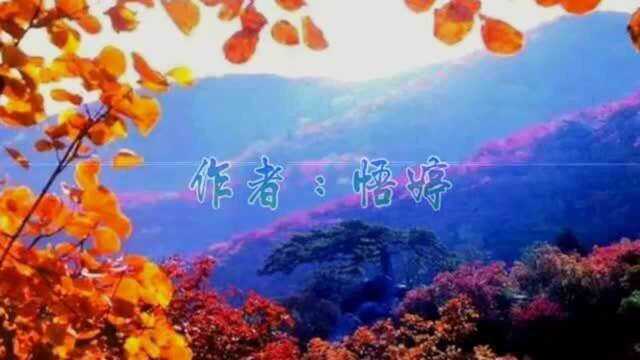 《枫叶红了》作者‖悟婷 制作‖茉子 诵读‖逢兆年