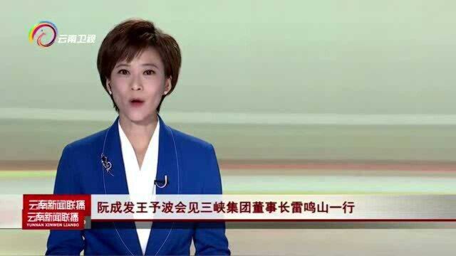 阮成发王予波会见三峡集团董事长雷鸣山一行