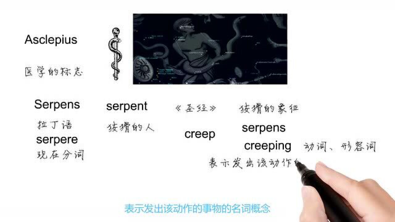 英语单词背后的文化,Serpens有关巨蛇座,跟杰森老师轻松学英语