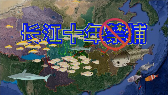 为何长江要实行10年禁捕?“一江两湖七河”分别是哪些地方?