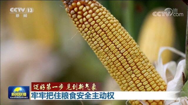 【迈好第一步 见到新气象】牢牢把住粮食安全主动权