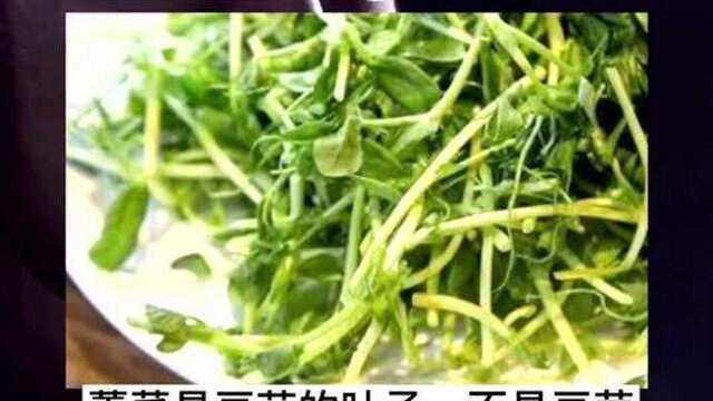 《大秦赋》中商鞅连吃了三盆藿菜疙瘩汤,里面的藿菜是什么菜?好吃吗?