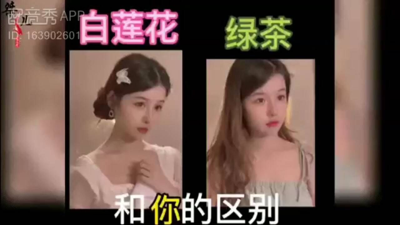 白莲花绿茶女汉子的区别