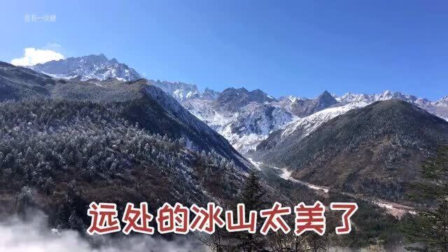 自驾四川甘孜州,一匹野马在公路上任性地拦车讨东西吃,真可爱.