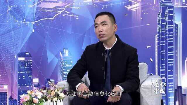 《崛起中国》 王伟光 金融信息化的护航者