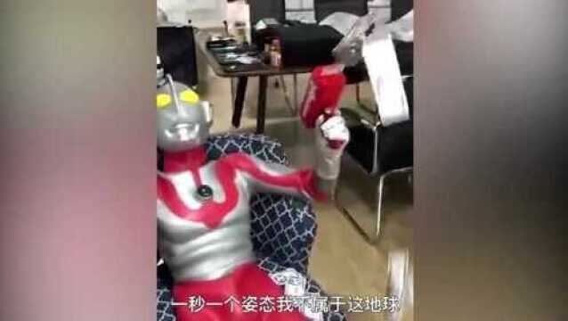 人类迷惑行为:“狂野男孩”