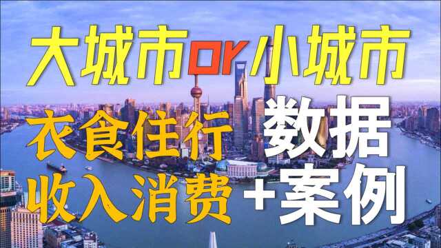 衣食住行+收入消费,大城市的年轻人怎样生活?