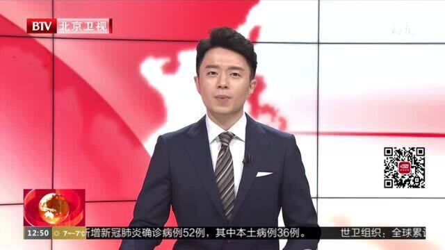 “鲸”喜:广州首次成功繁育小白鲸