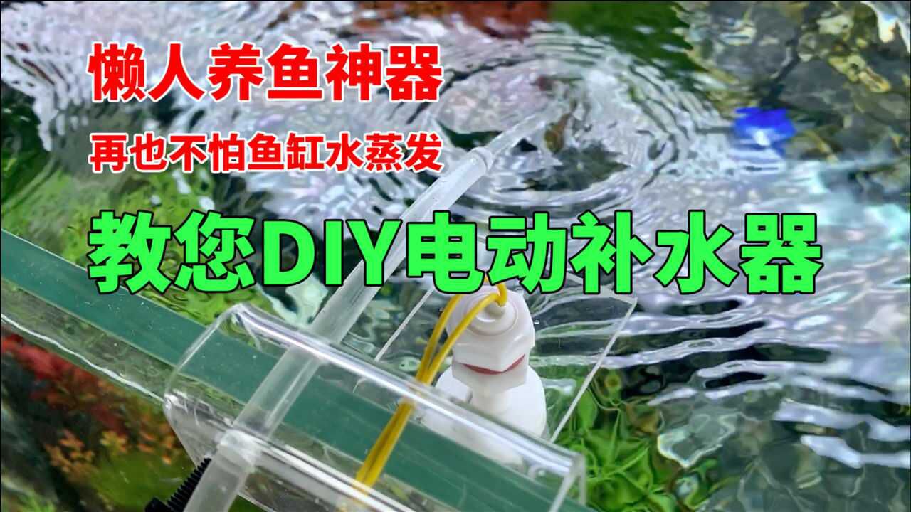 懒人养鱼神器教您diy制作电动补水器再也不怕鱼缸水蒸发