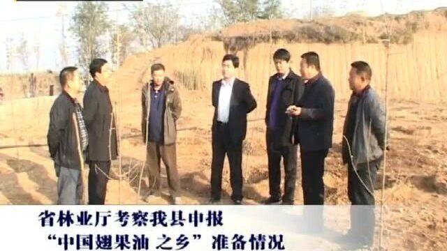 每轻松翅果油含片翼城电视报道天亚集团山西子公司森源翅果生物科技公司