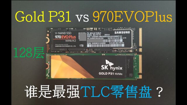 【然天一】1TB 970EVOPlus vs Gold P31