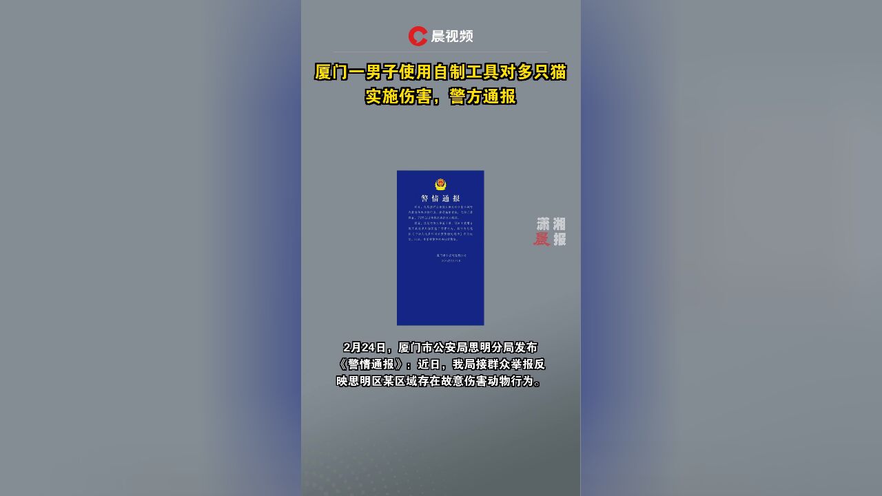 厦门一男子使用自制工具对多只猫实施伤害,警方通报