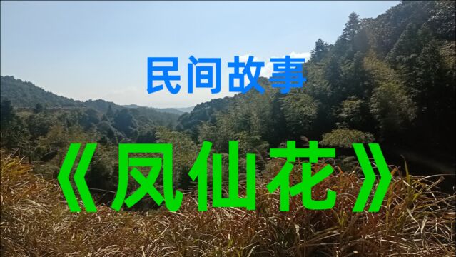 民间故事《凤仙花》从前有个凤凰山,山上有只千年彩凤