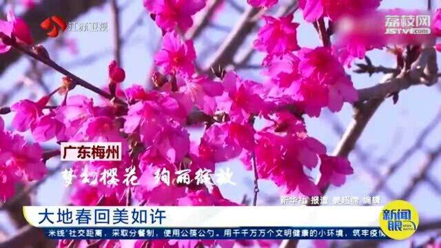 大地春回美如许 江苏盐城:自然之手 鬼斧神工!