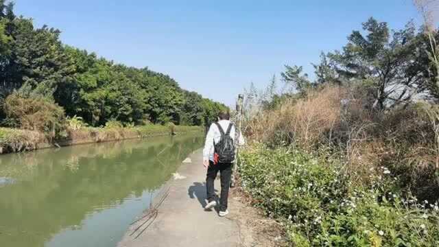 顺德区均安镇南沙岛之永隆水闸路 亚标点完整版