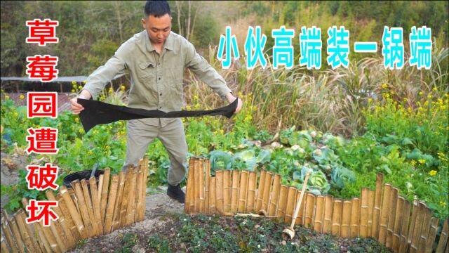 深山草莓园频遭破坏,小伙设计高端装备,一定要把它们一锅端!